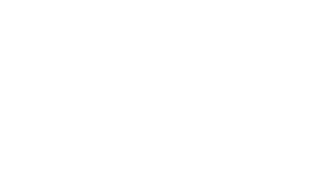 Ted Todd Logo