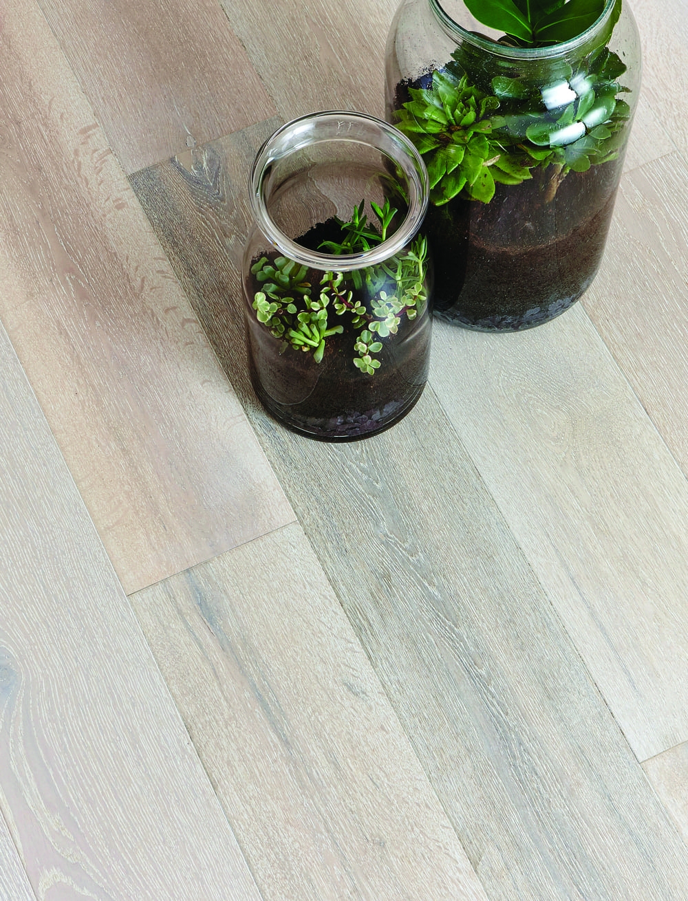 Calico Plank